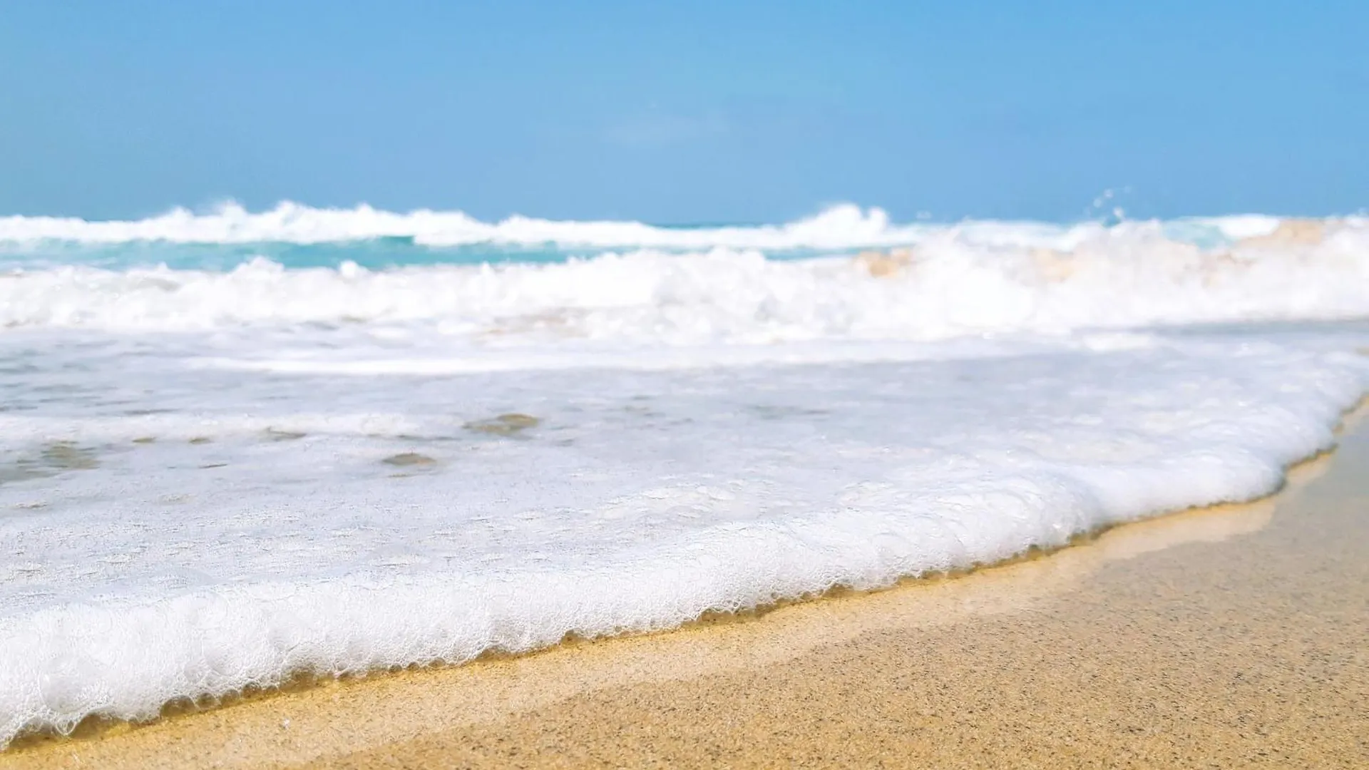 Blue Velvet By Sea You There Fuerteventura Corralejo Spain